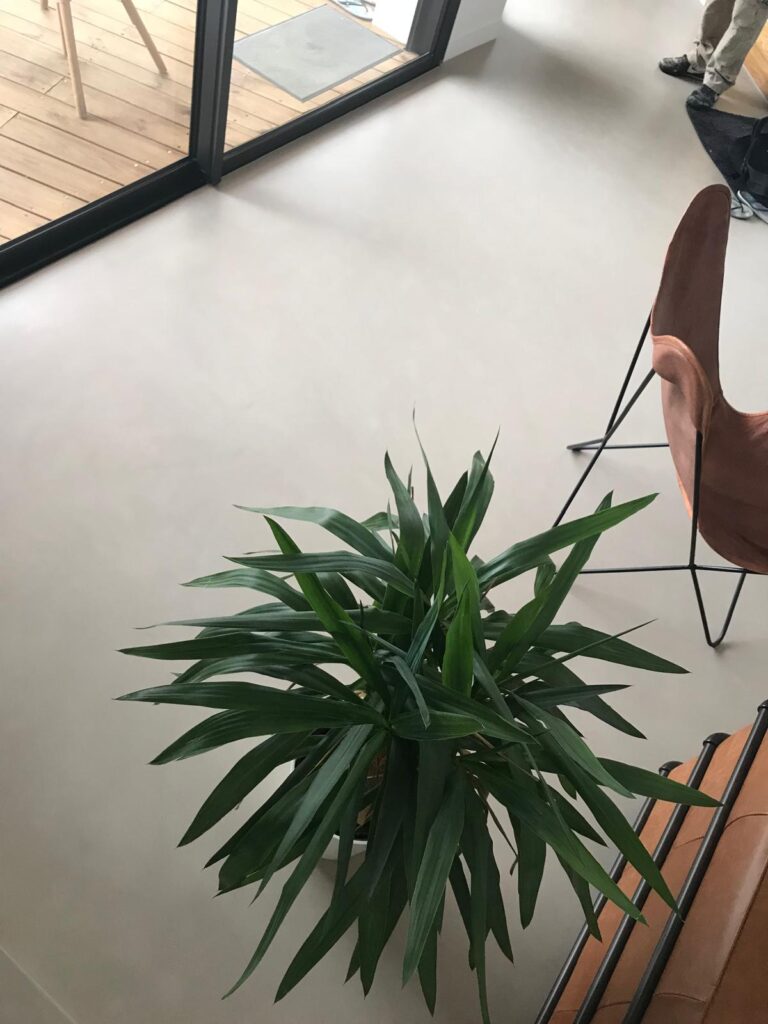 Fabricant DMR Concept – sol Unikofloor SP 100 m² à Biarritz posé par Amarel